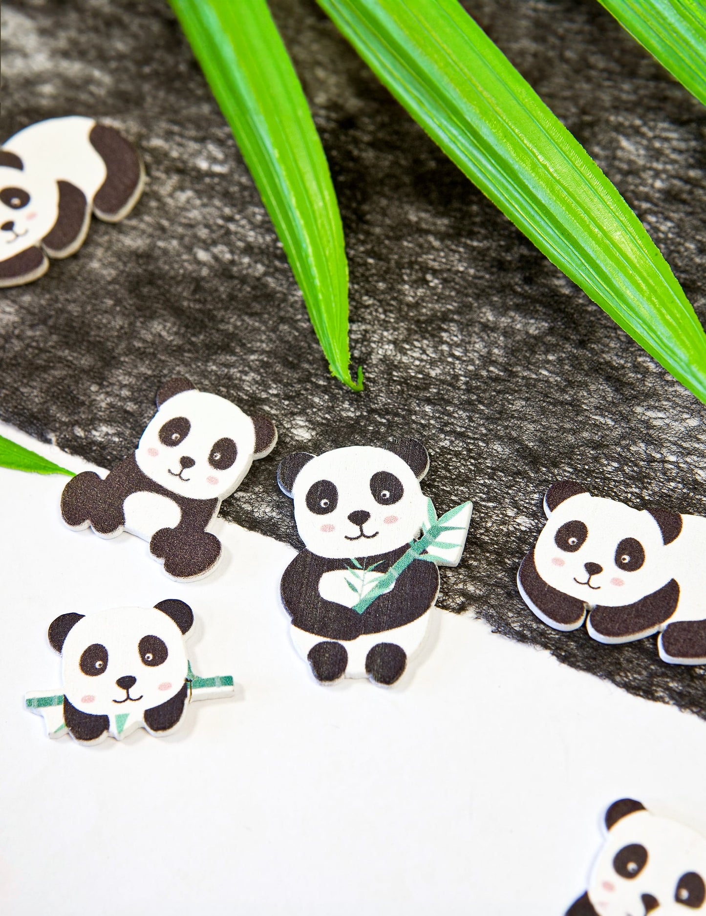 Gros plan sur les différents modèles des confettis en bois panda