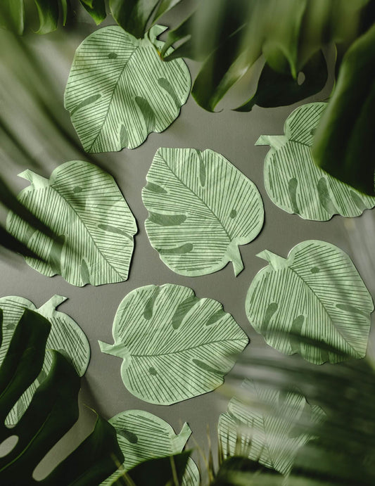 12 Serviettes en papier feuille de monstera vertes 29,1 x 36 cm