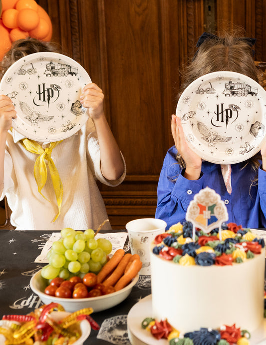 6 Assiettes en papier Harry Potter™ 23 cm