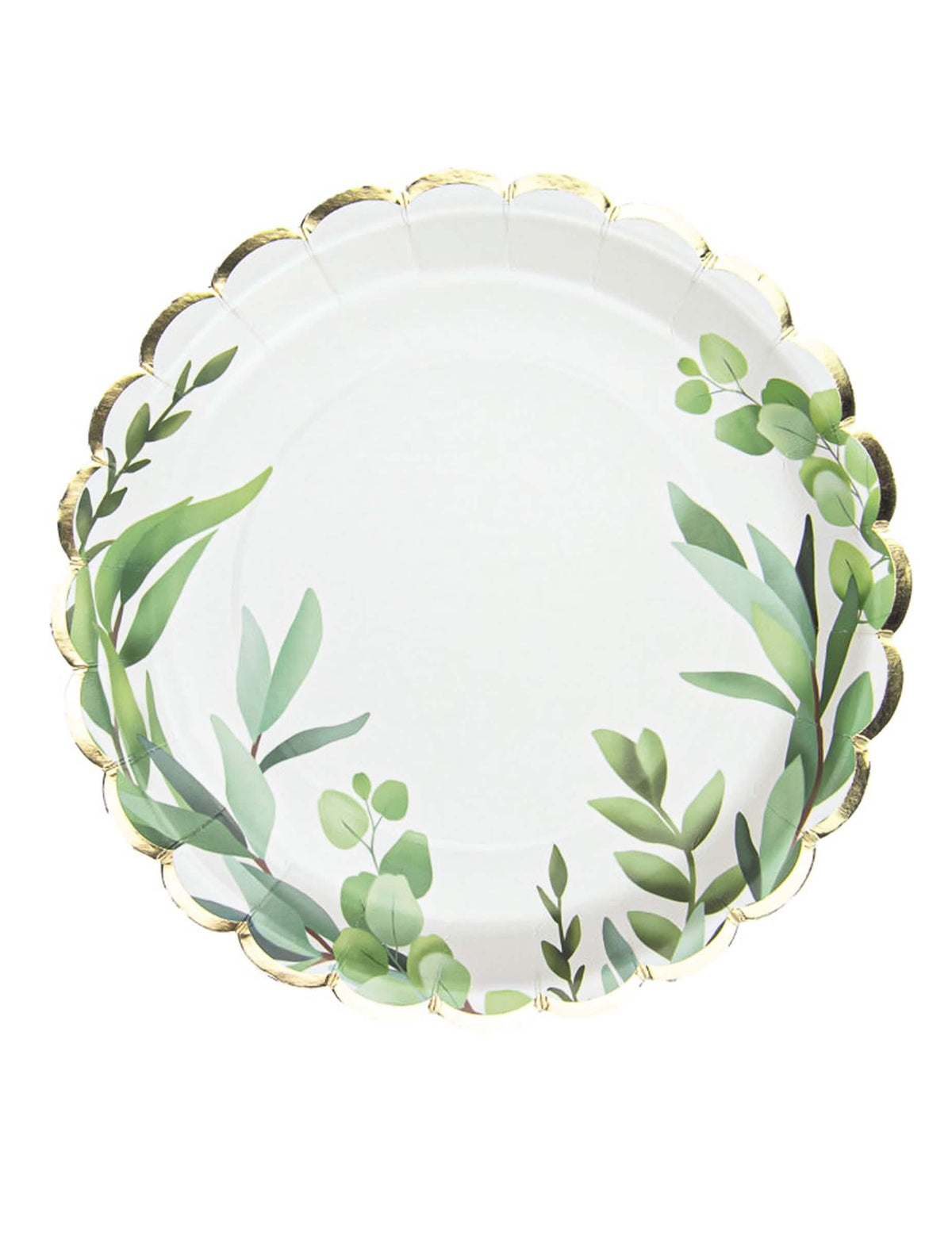 Assiettes festonnées en carton feuilles d'eucalyptus blanches avec liseré doré
