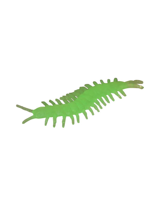 Gros plan sur un exemplaire du mille pattes phosphorescent pour Halloween