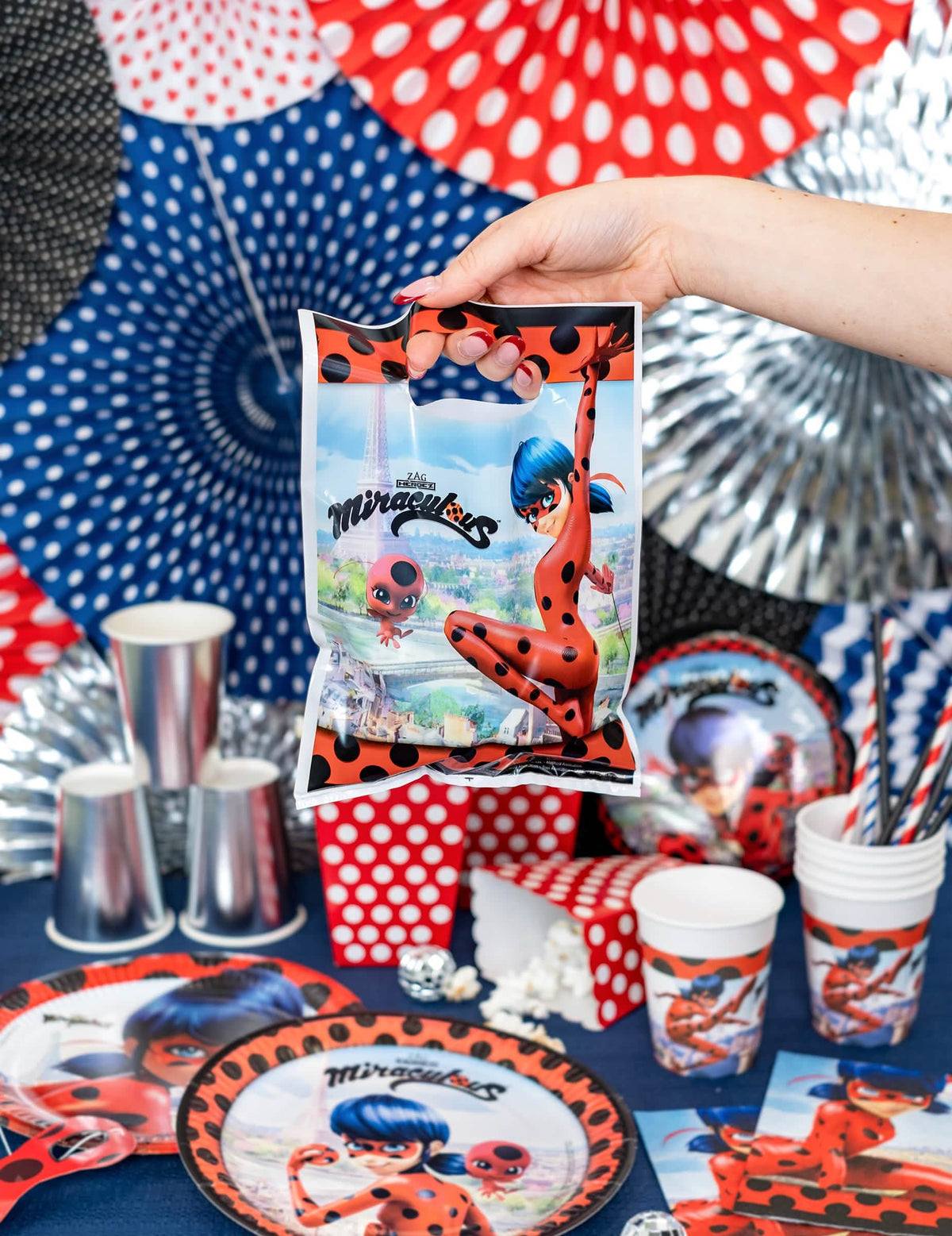 Opstelling van Ladybug-feestzakjes