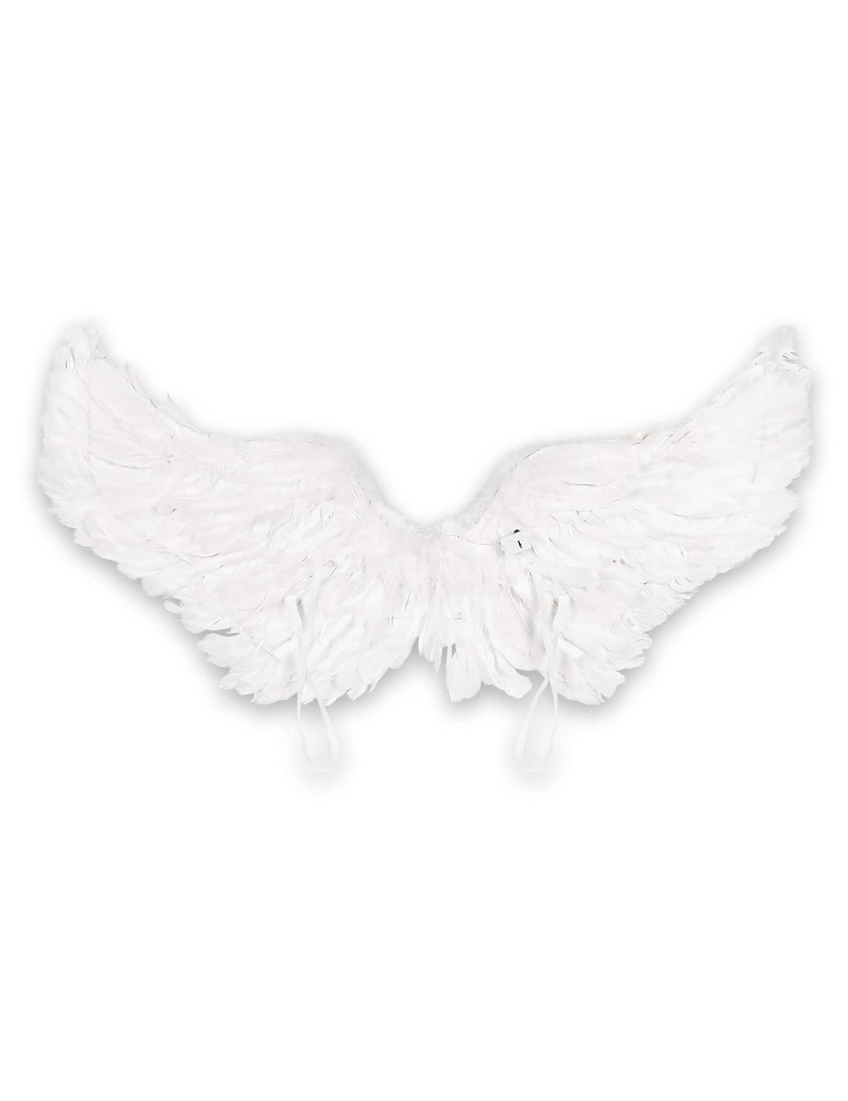 Vue de dos des ailes d'anges pour adulte