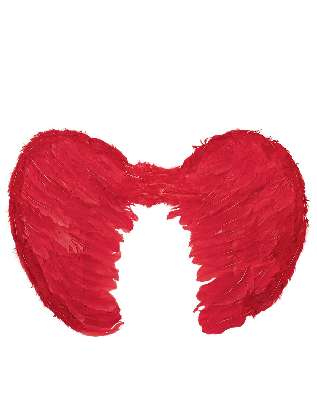 Vue de face des ailes d'anges pour adulte rouges en plumes