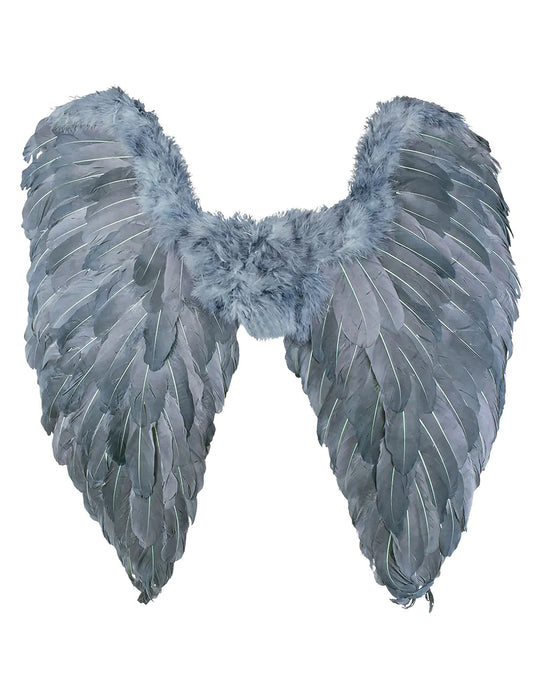 Ailes grises 65 cm adulte