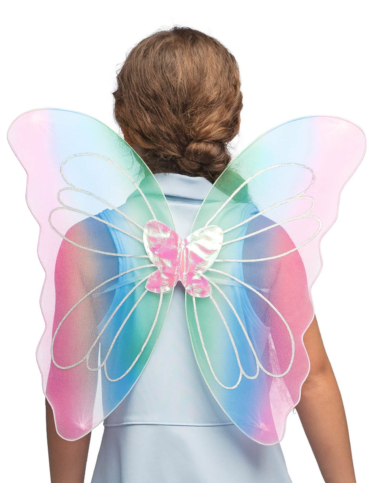 Gros plan sur les ailes de papillon multicolores