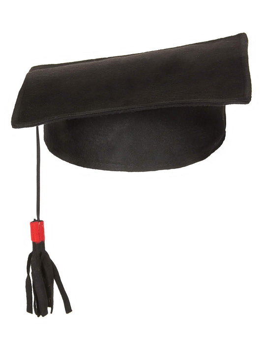 Coiffe d'étudiant diplômé adulte