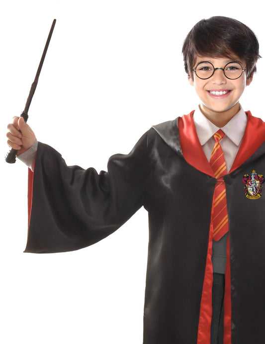 Gros plan sur le buste du déguisement et accessoire Harry Potter