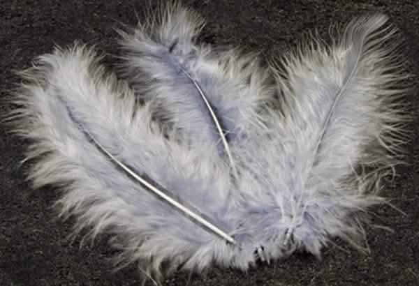 Plumes de décoration pour atelier créatif grises