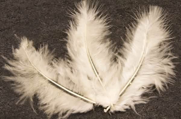 Plumes de décoration pour mariage ivoire