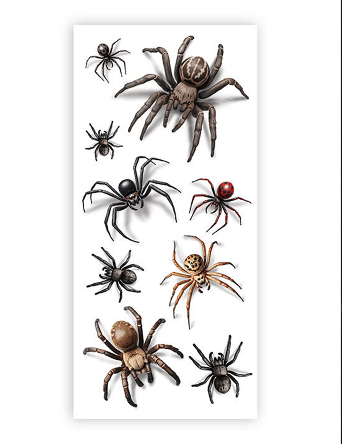 Tatouages araignées réalistes adulte