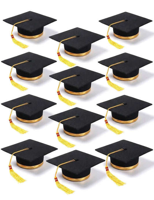 12 Toques diplômé adulte