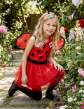 Lieveheersbeestje kostuums & accessoires