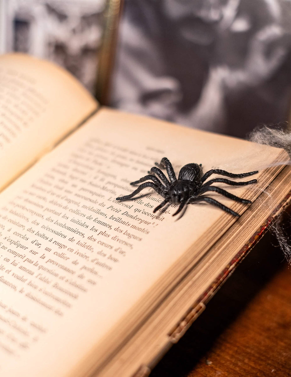 Gros plan d'une araignée sur un livre ouvert du lot de 12 araignées Halloween