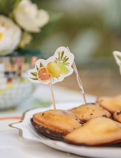 12 fizz citrus papieren prikkers in crème, oranje en geel voor cocktails