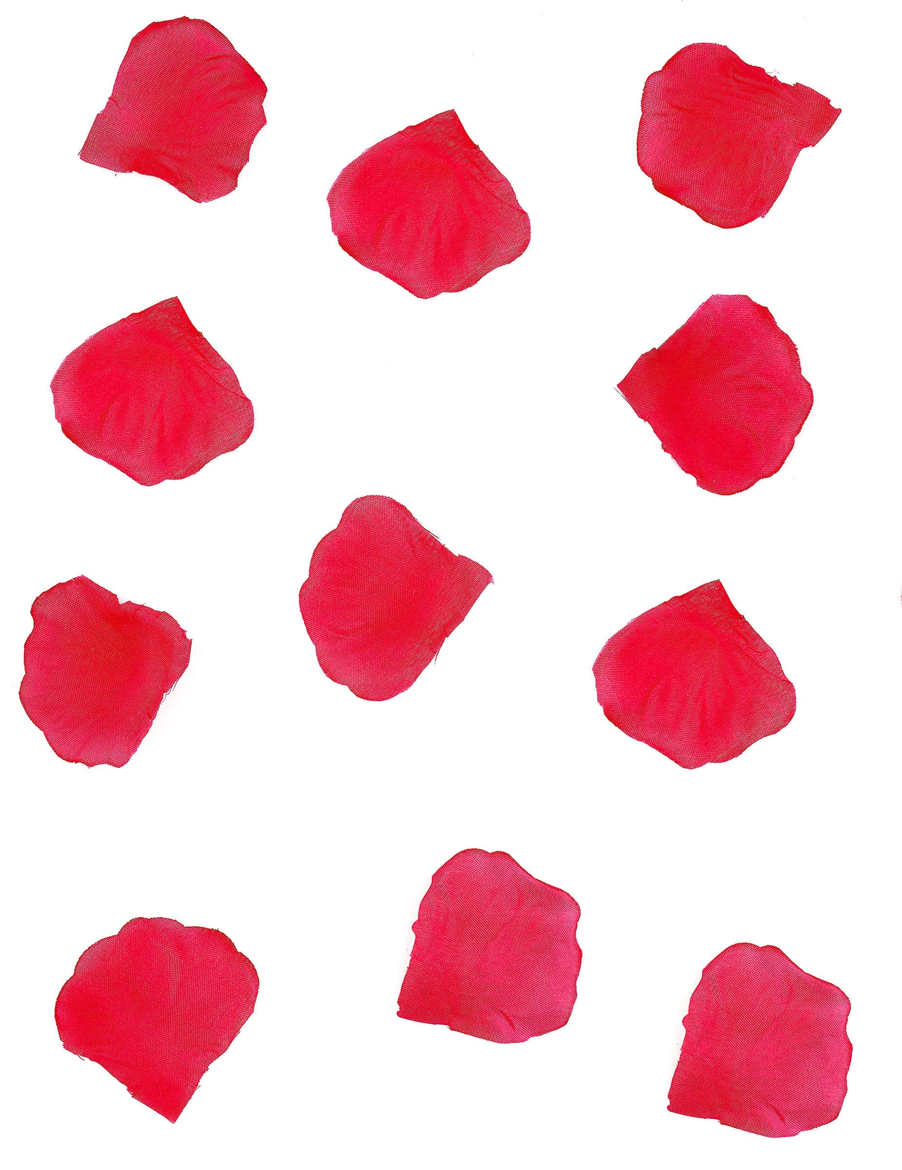 Pétales de rose en tissu pour fête rouge