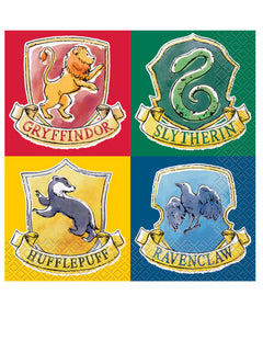 Wegwerpservies Harry Potter