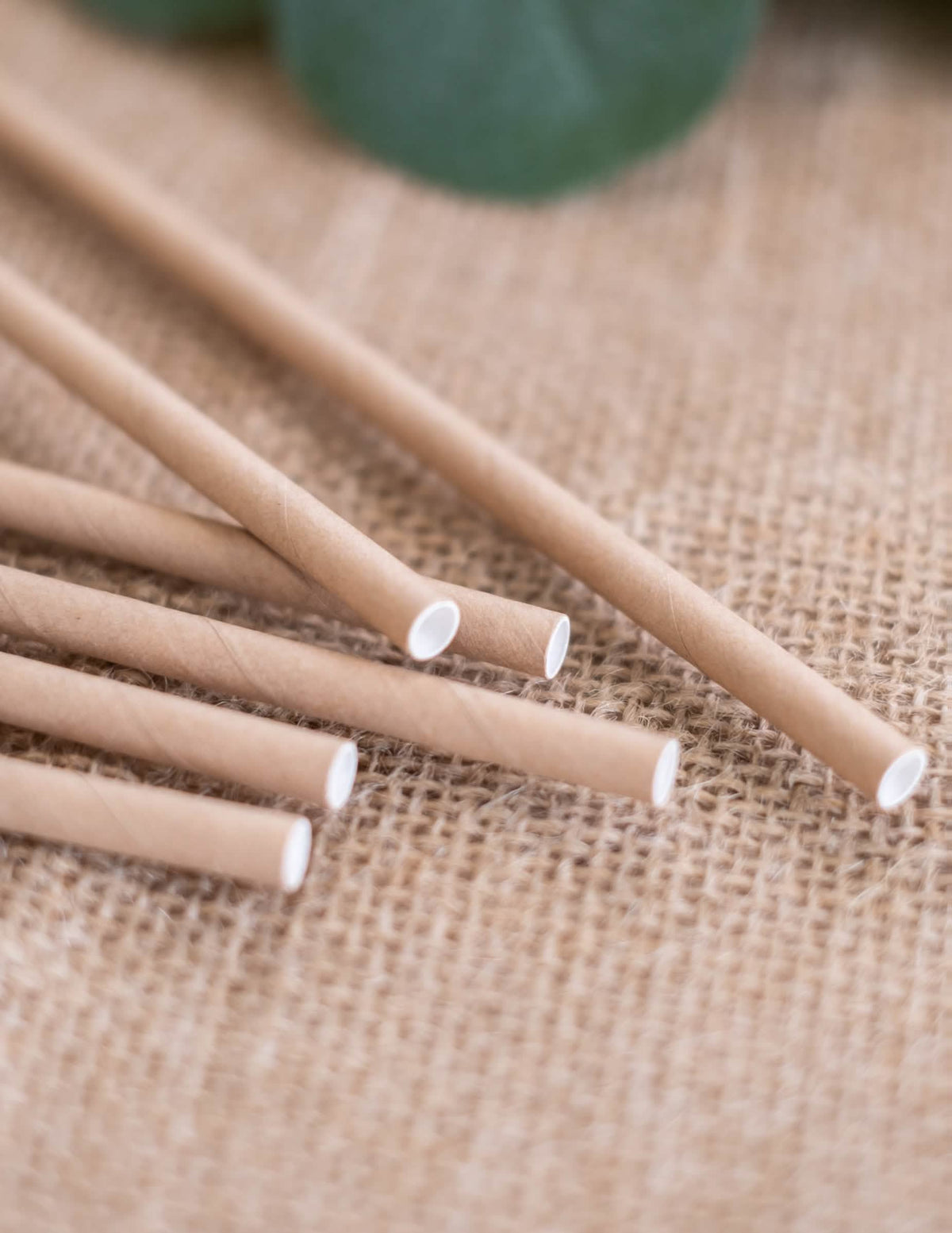 Gros plan des pailles en carton kraft pour fête