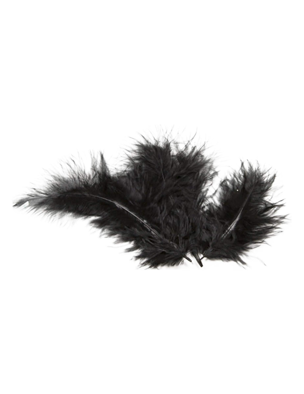 20 plumes de décoration pour table noires