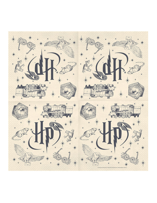 20 Serviettes Harry Potter™ 33 x 33 cm