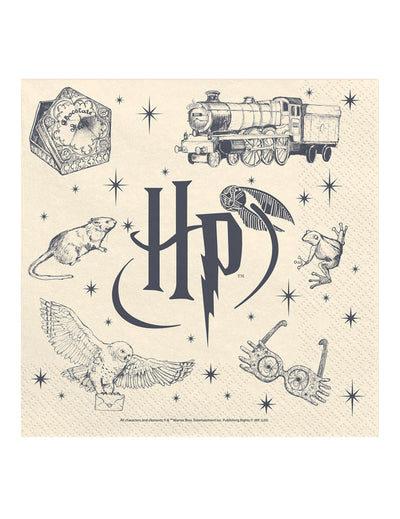 20 Serviettes Harry Potter™ 33 x 33 cm