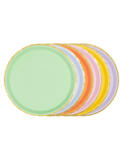 6 Kartonnen borden pastel met gouden rand 21 cm