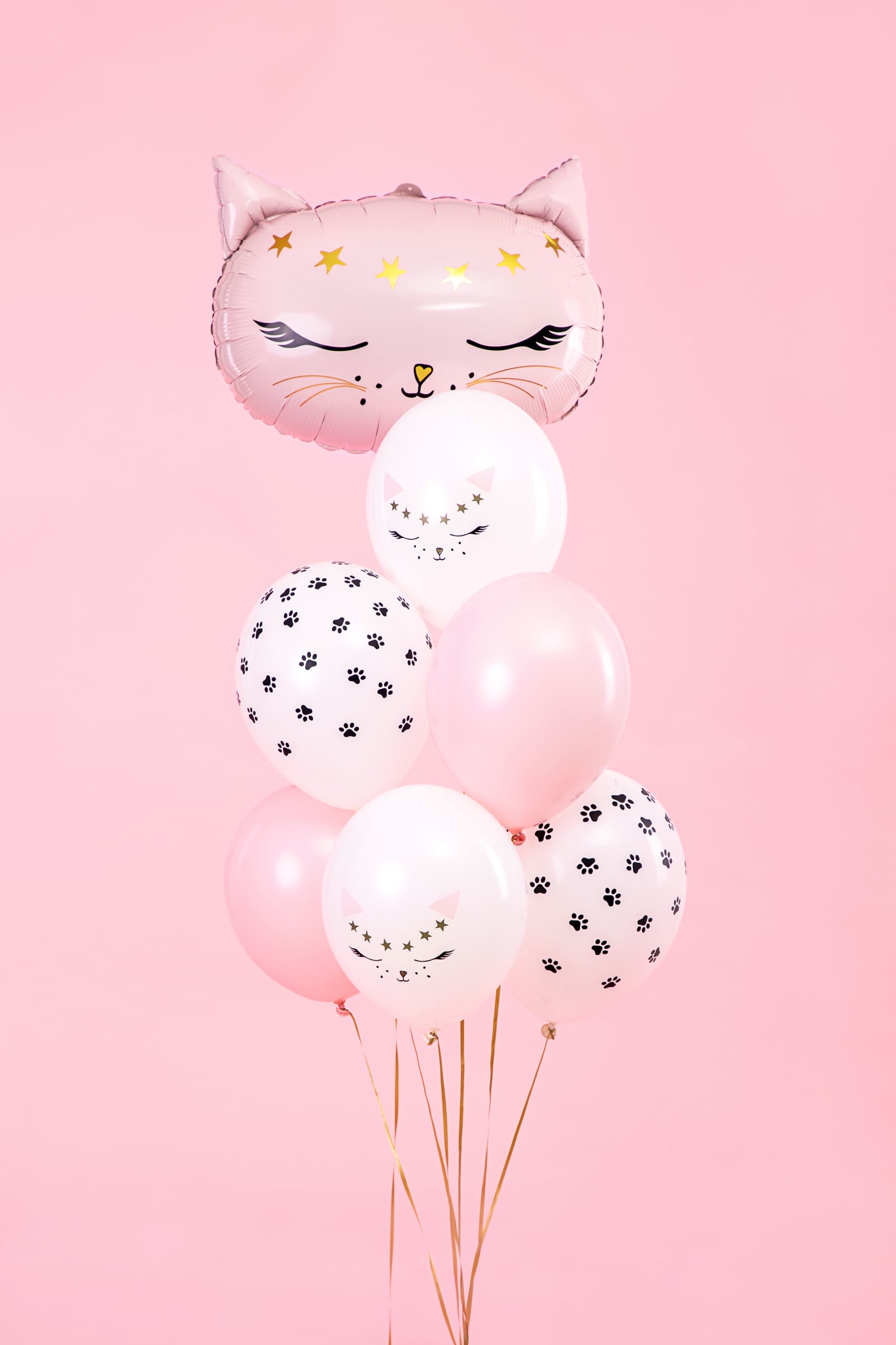 Vue d'ensemble du bouquet des ballons en latex chats pour décoration