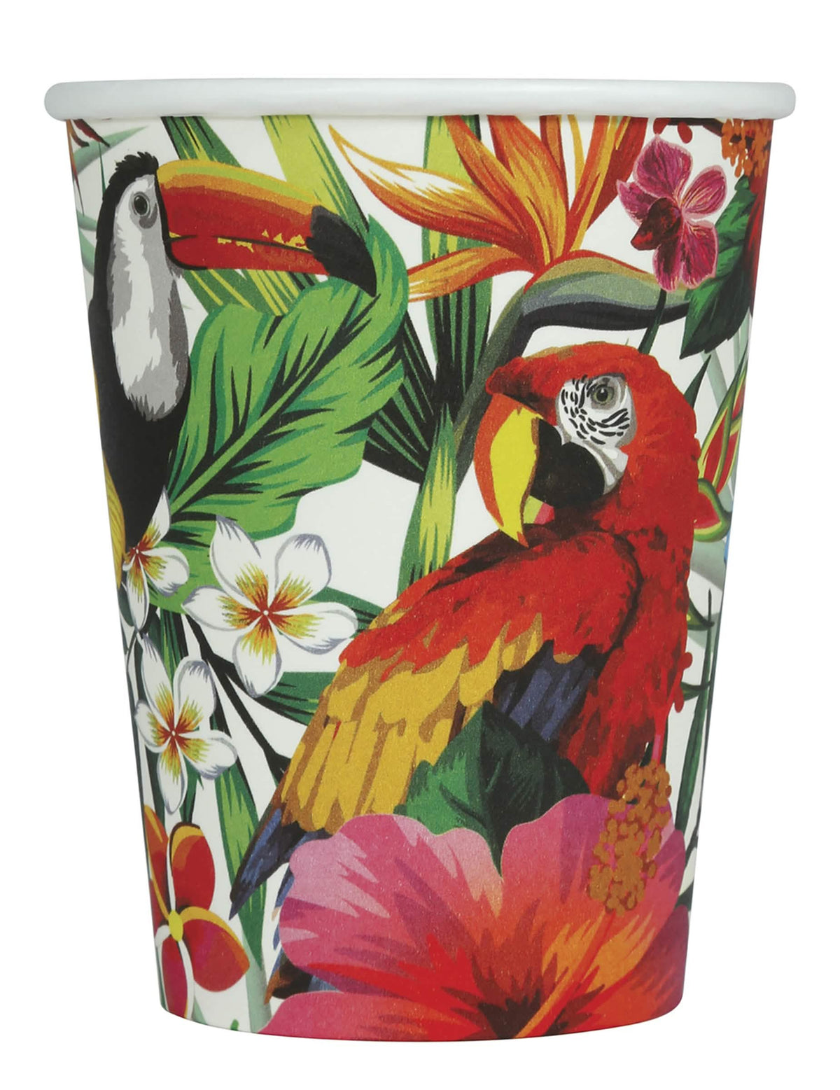 Gros plan sur les motifs de perroquet et toucan des gobelets oiseaux tropicaux