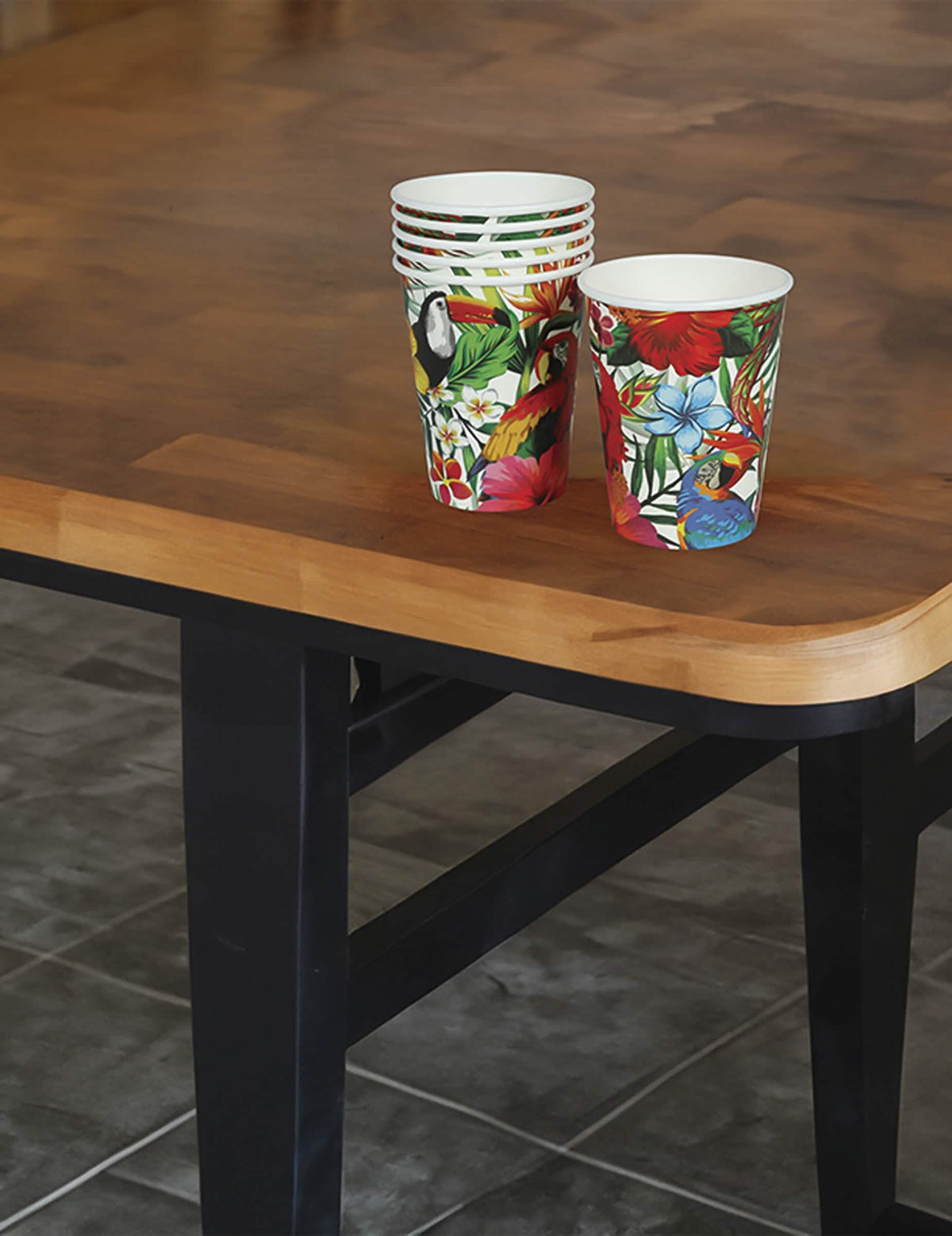 Gobelets oiseaux tropicaux pour fête multicolores avec motifs toucan et perroquet
