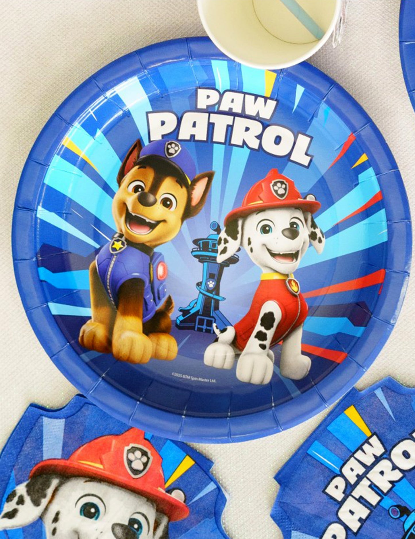 8 Assiettes bleues en carton Pat'patrouille™ 23cm