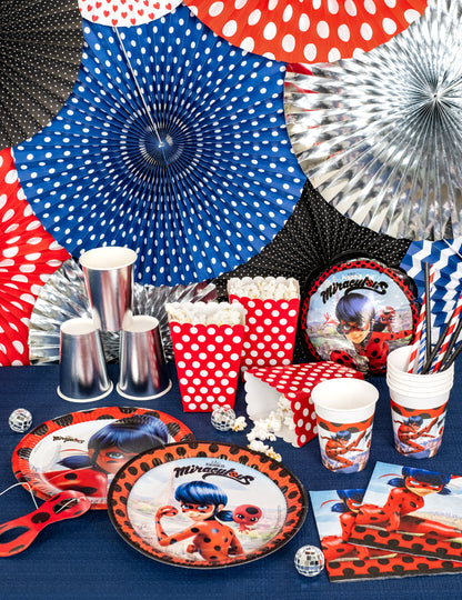 Vue d'ensemble de la décoration de table des assiettes en carton Miraculous Ladybug