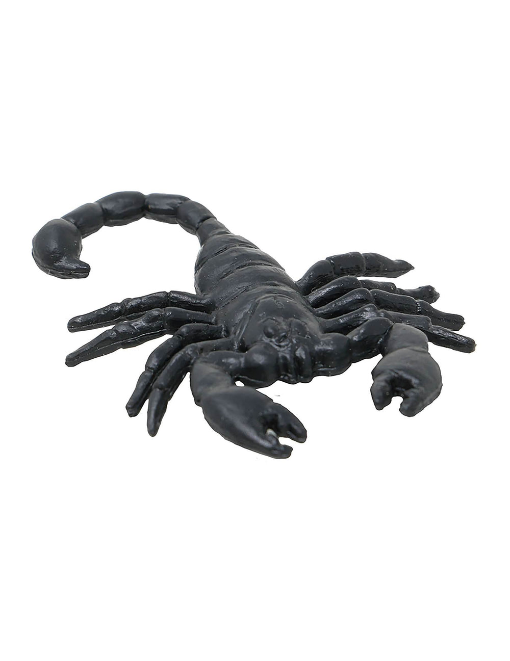 Gros plan d'un scorpion du lot de 8 scorpions pour Halloween