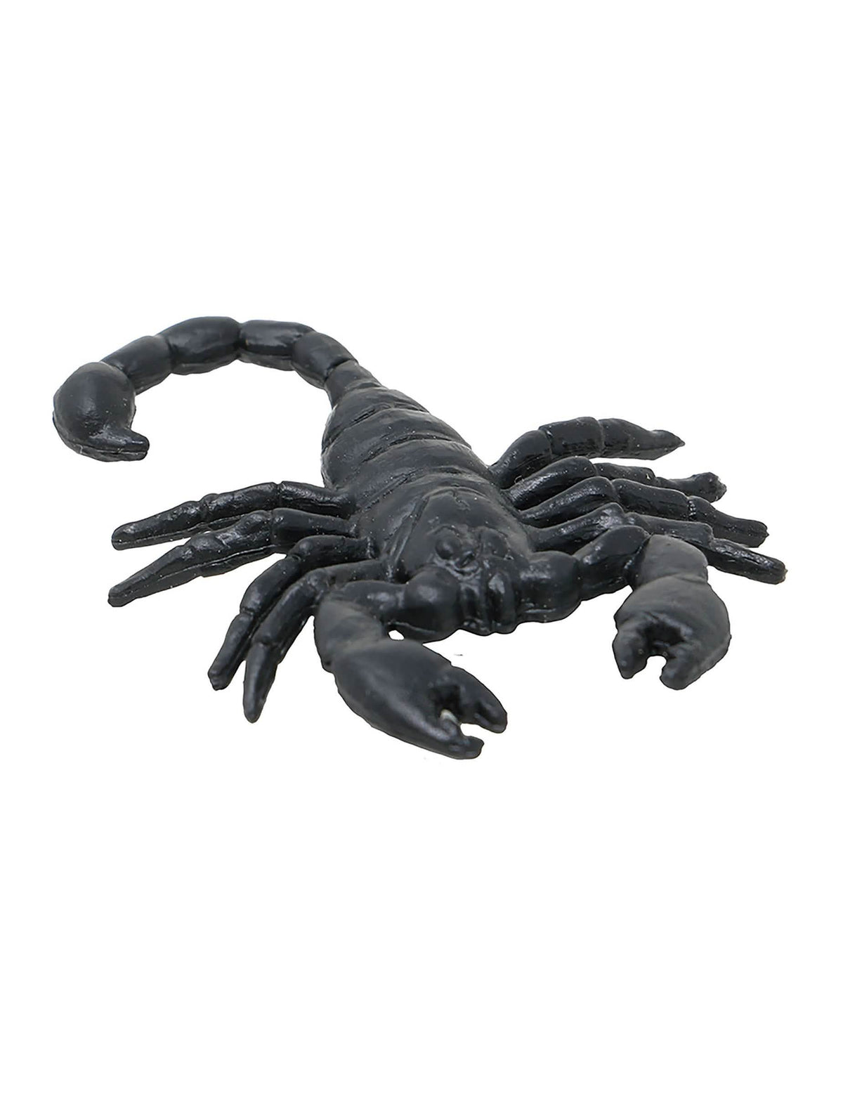 Gros plan d'un scorpion du lot de 8 scorpions pour Halloween