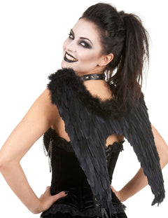 Halloween Ailes Noir