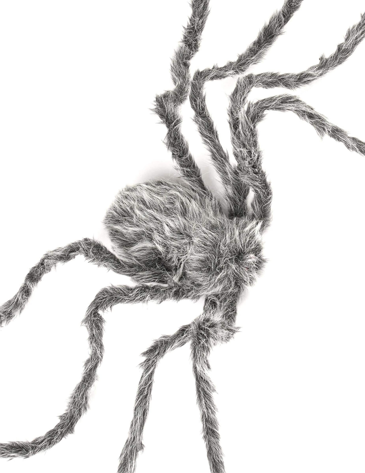 Vue de dessus de l'araignée géante Halloween