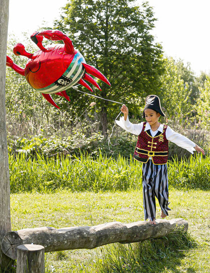 Krab folieballon 93 x 75 cm