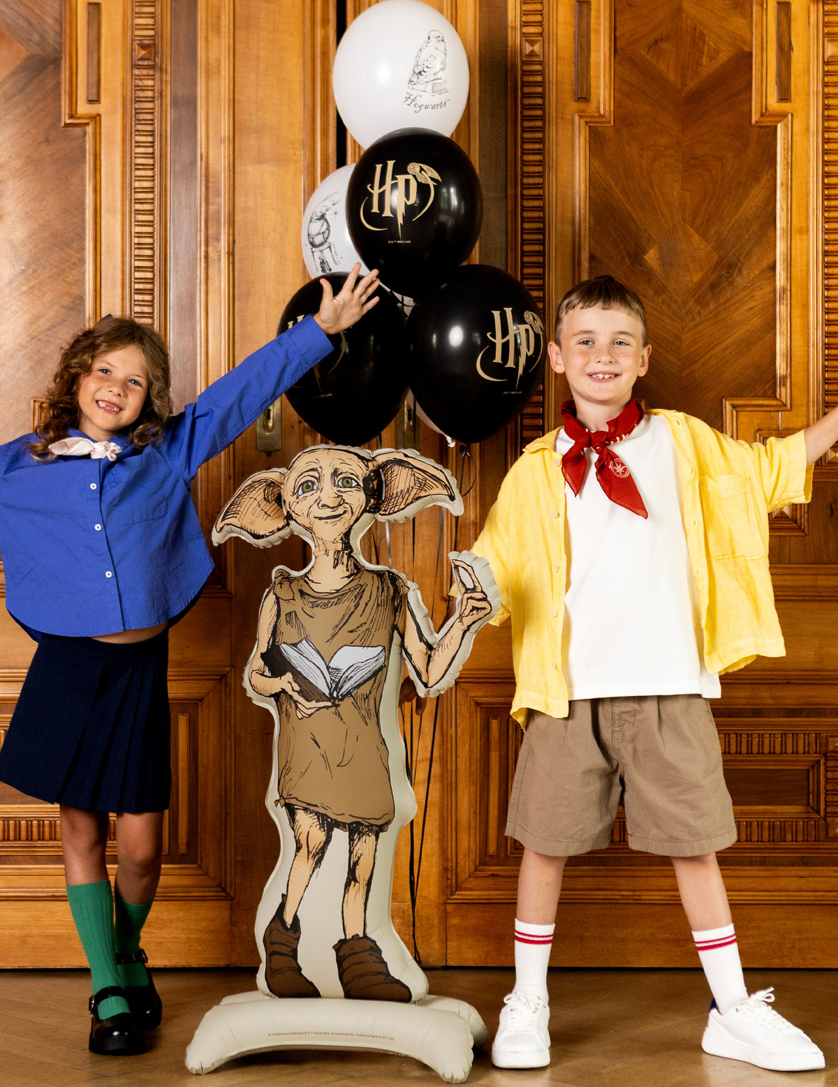 Harry Potter™ Dobby staande aluminium ballon 54x105 cm