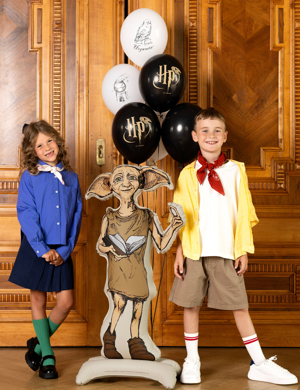 Harry Potter™ Dobby staande aluminium ballon 54x105 cm