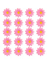 Boite de 20 fleurs marguerite rose clair