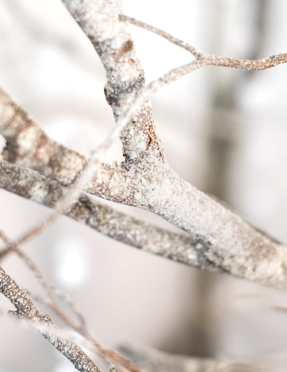 Détail de l'effet de neige sur des branches du bombe spray neige Noël