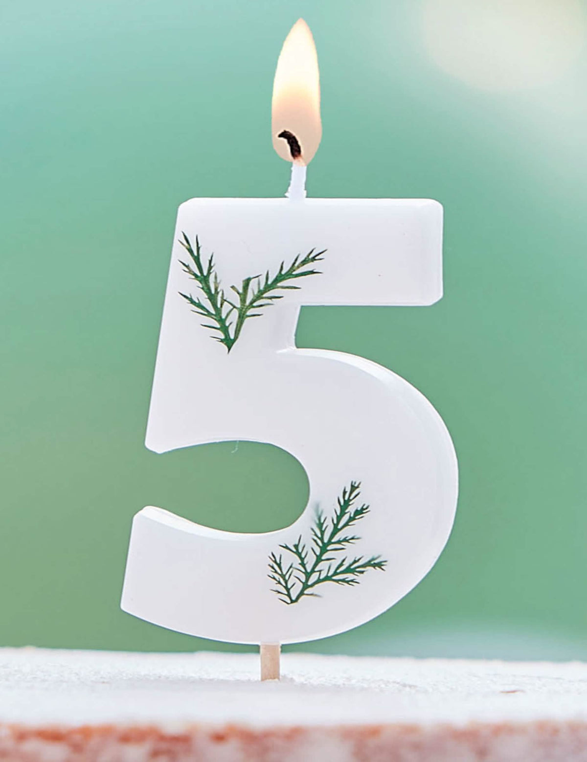 Numéro 5 de la bougie chiffre feuilles naturelles pour anniversaire