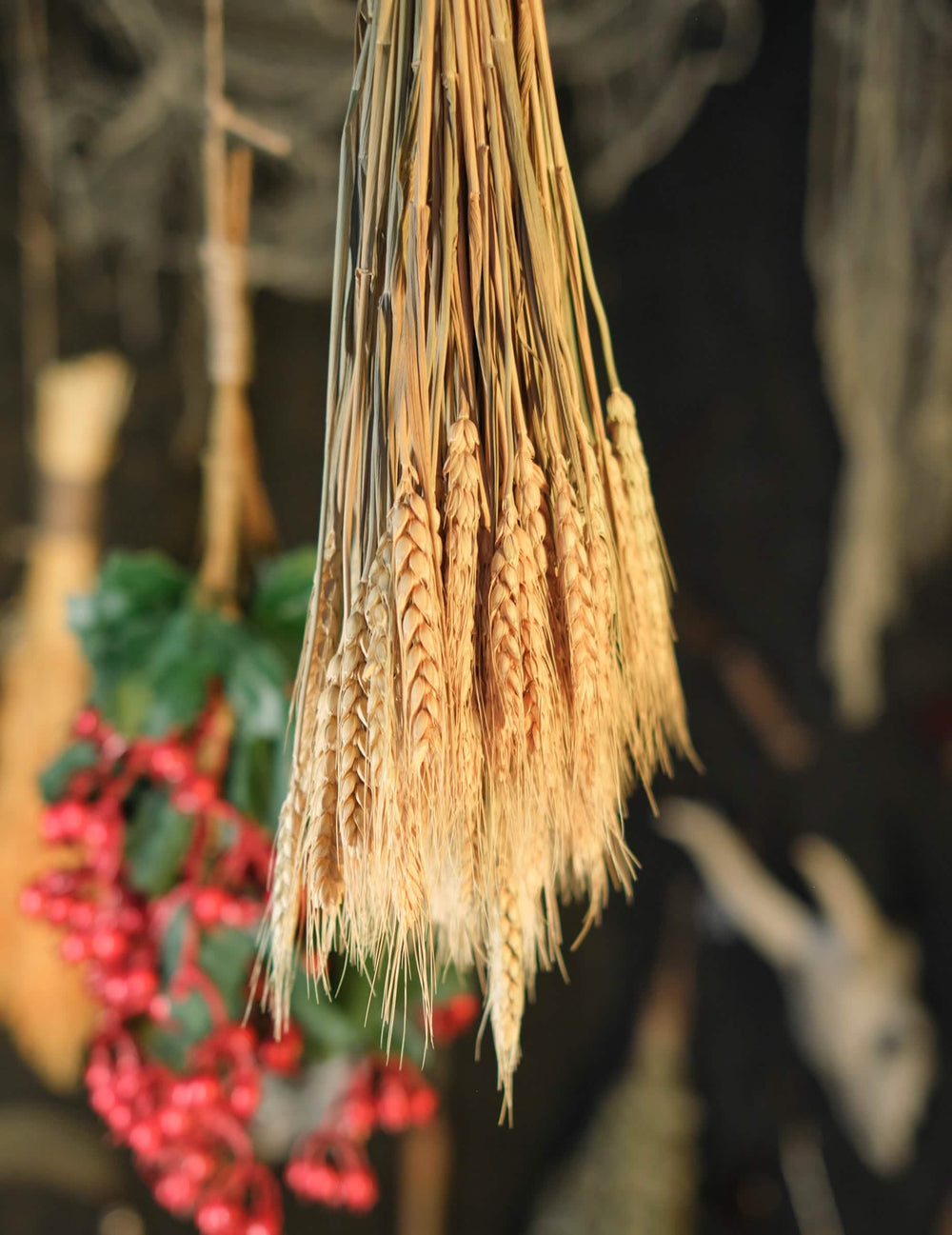 Close-up van de aren van het boeket met natuurlijke tarwearen voor decoratie