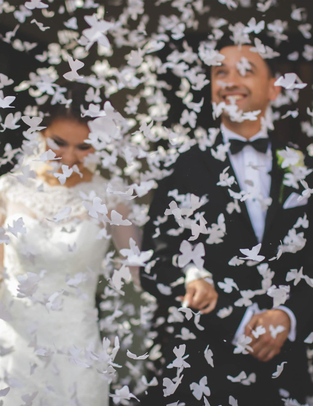 Mise en situation lors d'un mariage du canon à confettis papillons blancs
