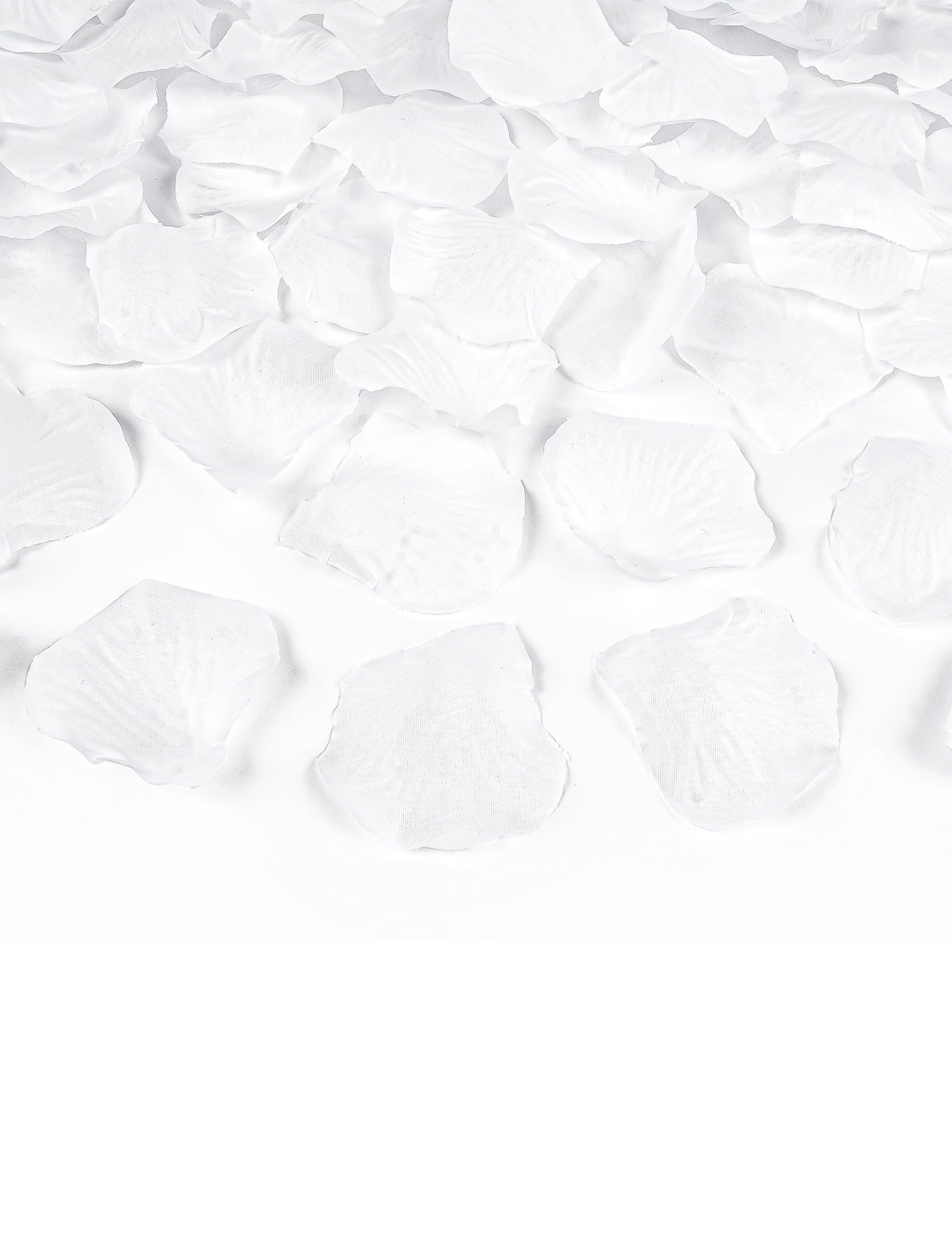 Détail des pétales du canon à confettis pétales blanc