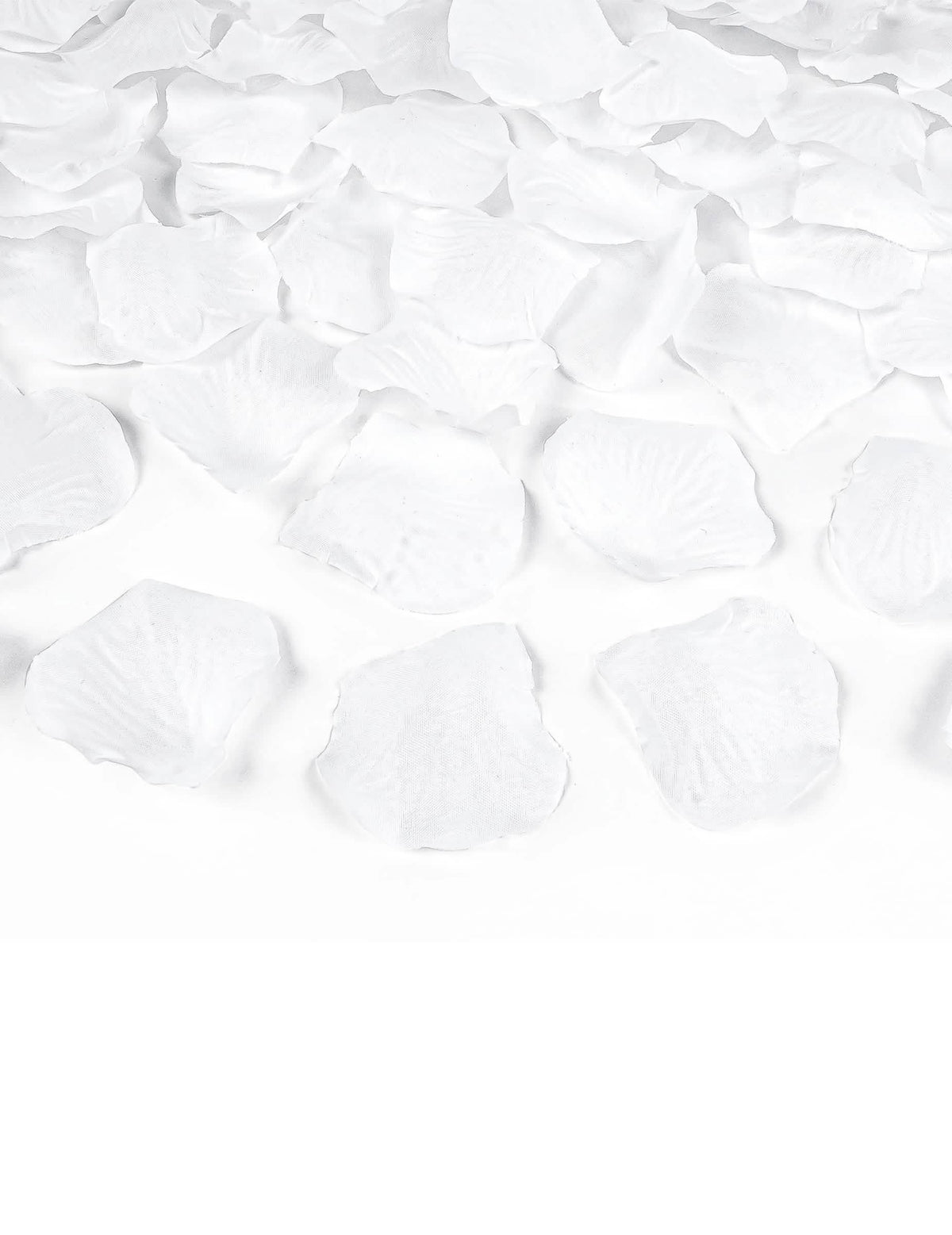 Gros plan sur les pétales du canon à confettis pétales blanc
