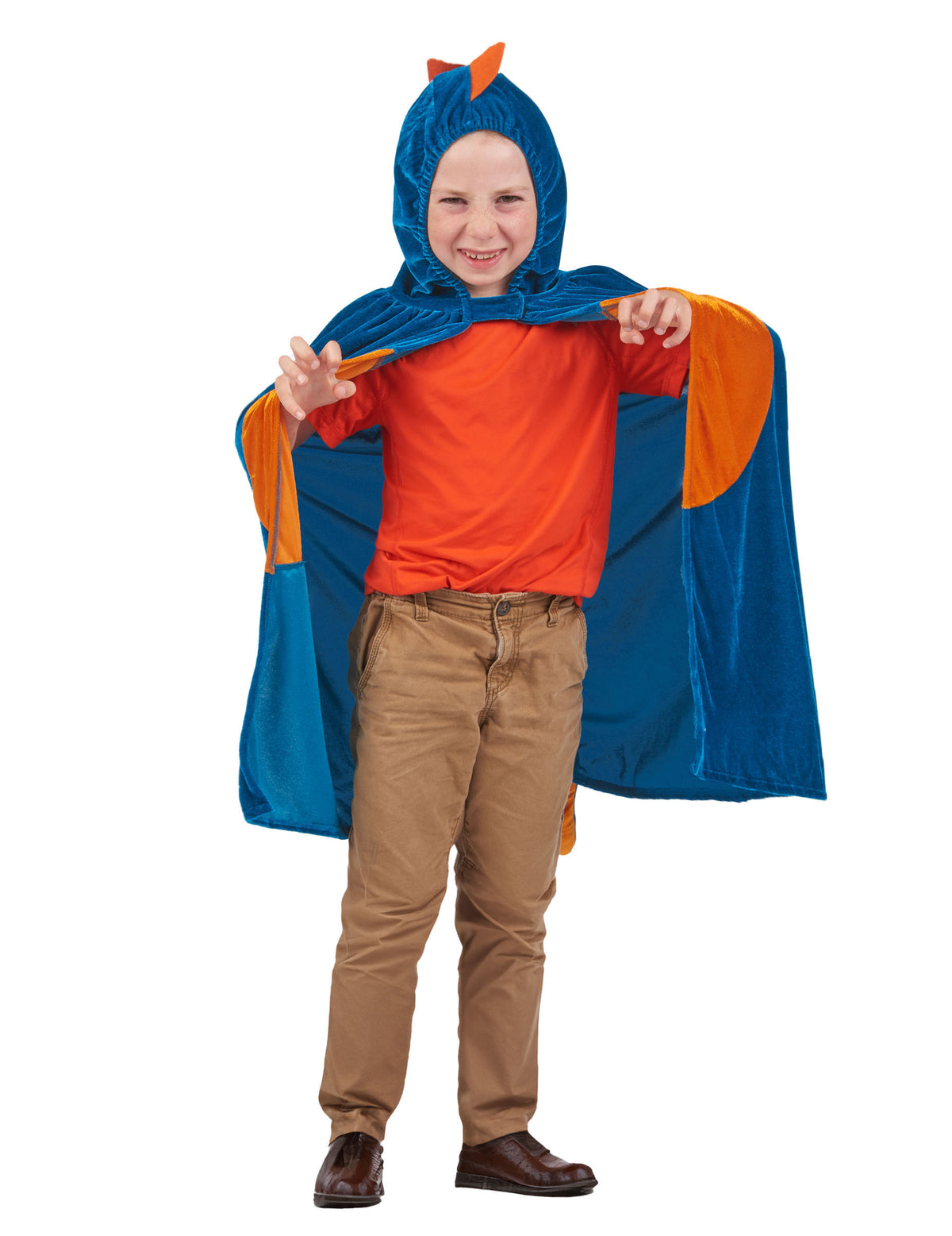 Cape dinosaure enfant