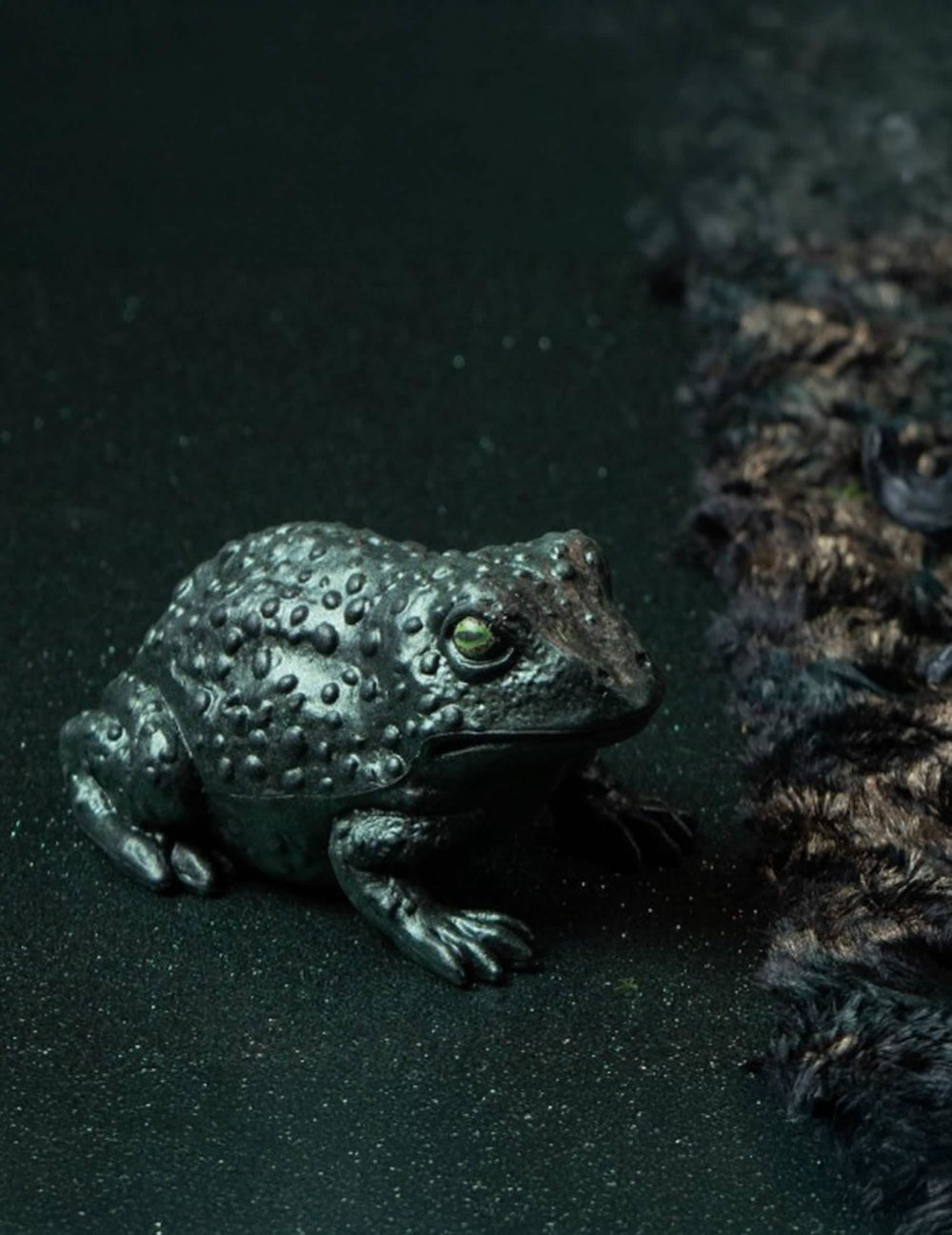 Mise en situation du crapaud en plastique vert irisé