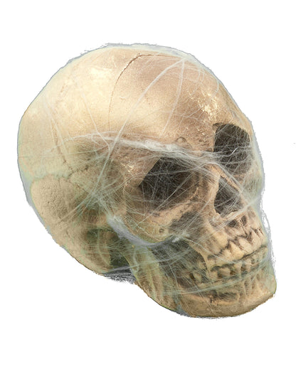 Gros plan sur les détails de la face de la décoration crâne avec toile d'araignée