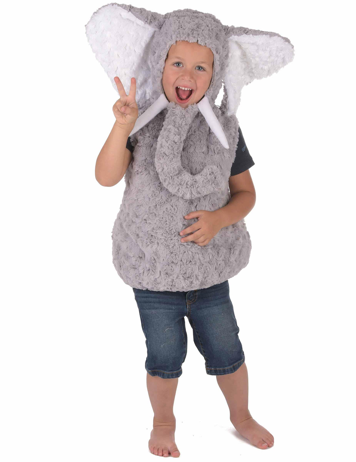 Overzicht van het olifantskostuum voor kinderen