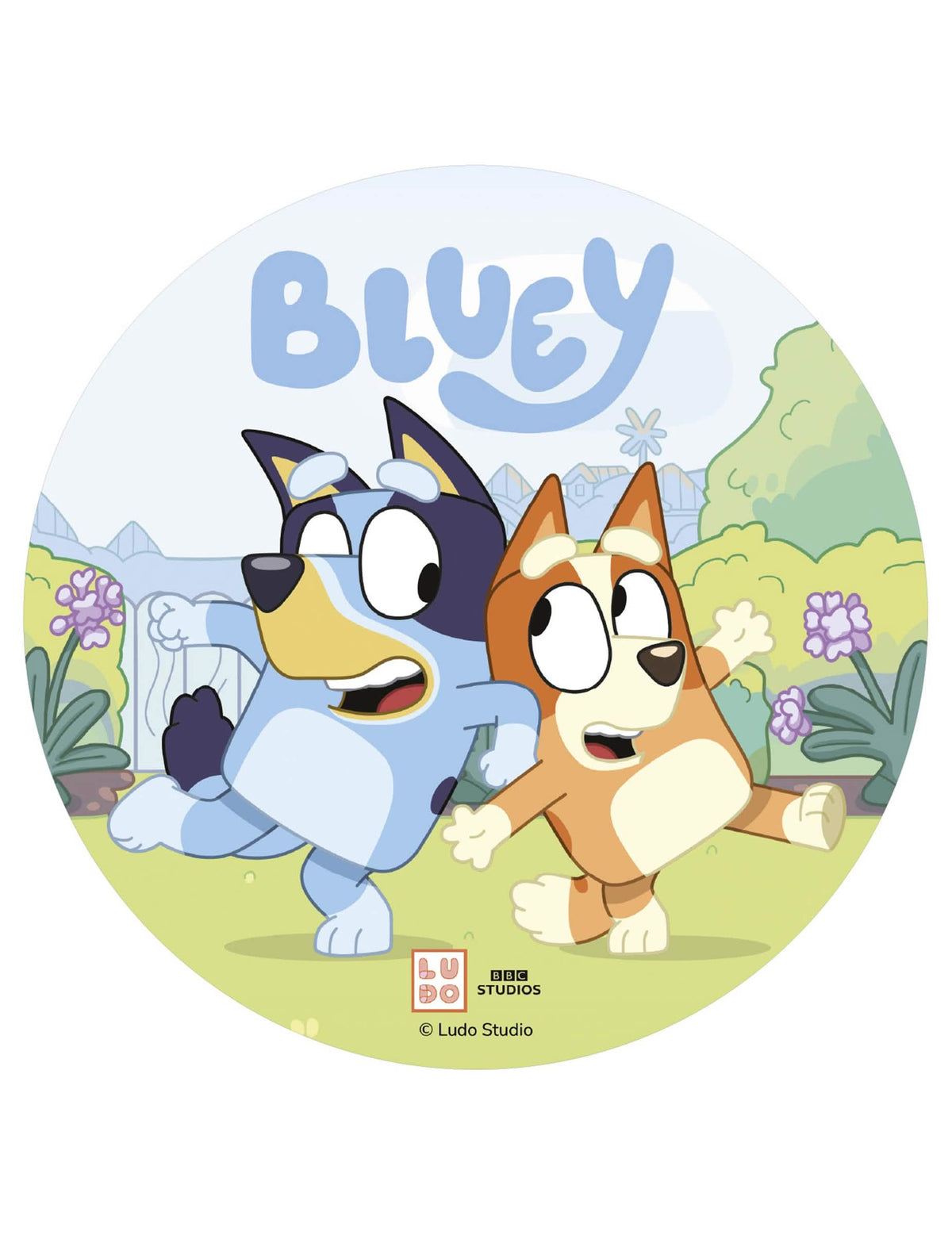 Disque azyme pour gâteau Bluey 20 cm